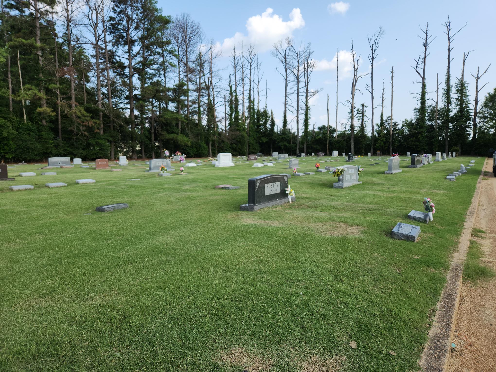 Delta morning at Greenwood Odd Fellows Cememtery