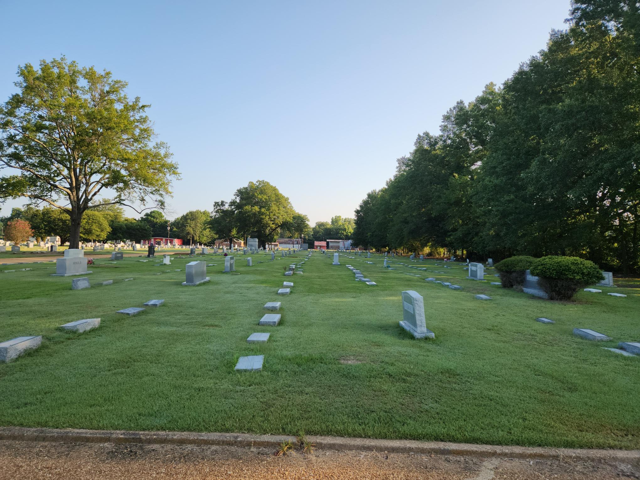 Delta morning at Greenwood Odd Fellows Cememtery